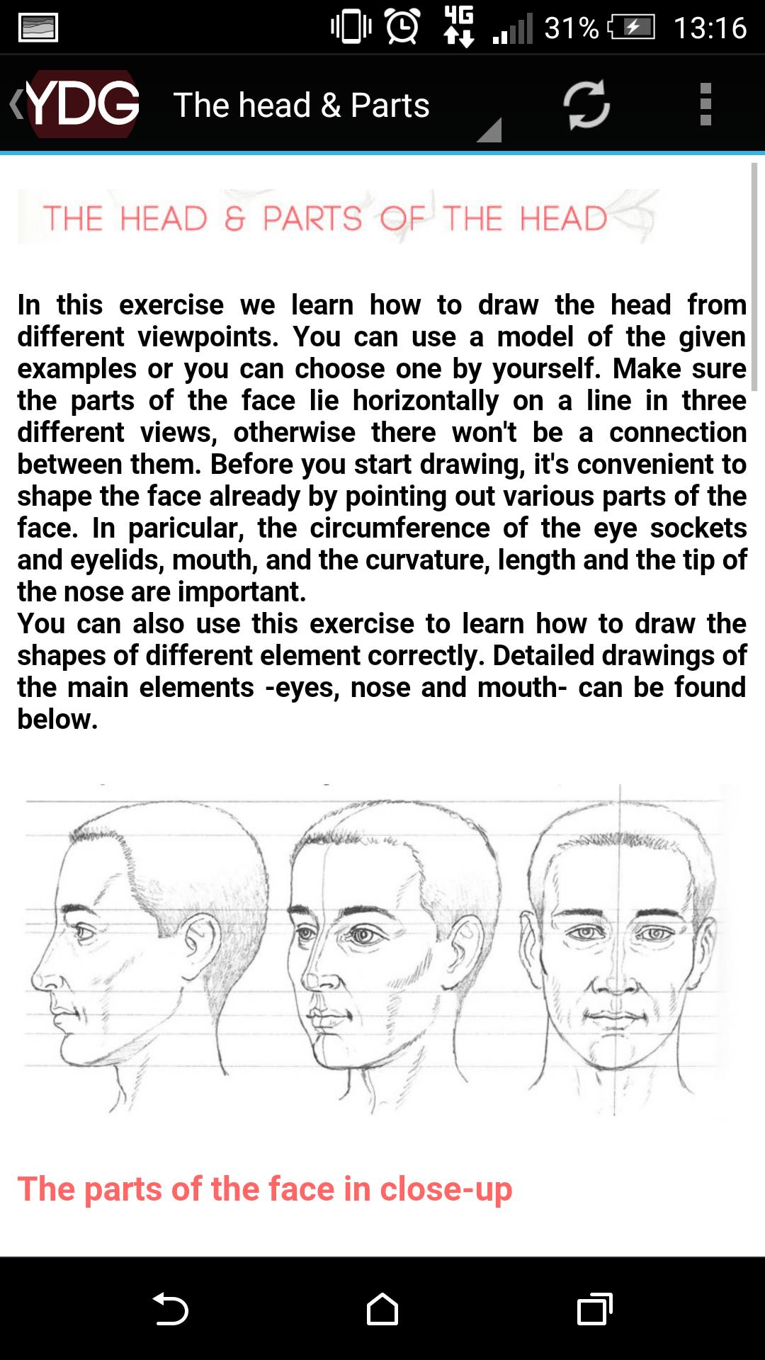 Your Drawing Guide: Portraits
