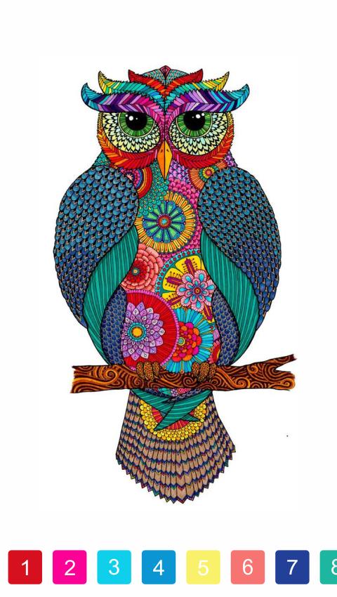 Paint by Number - Colorful Book