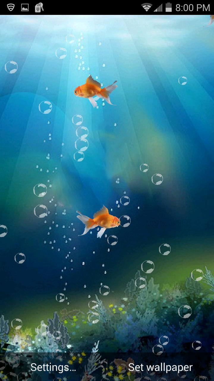 Goldfish in Phone LWP