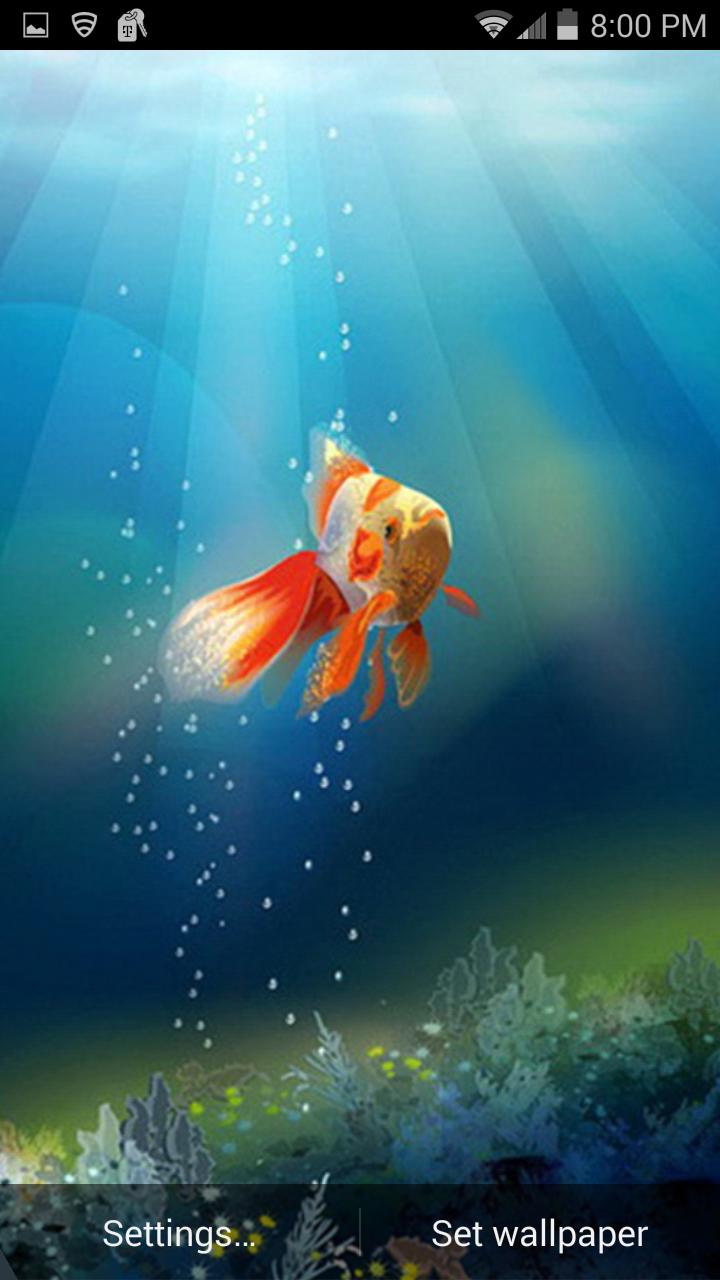 Goldfish in Phone LWP