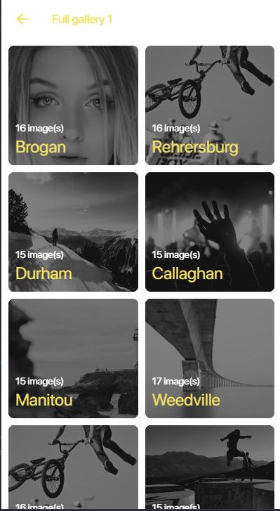 Ionic 3 iOS 11 style UI Template - 5 Color Themes