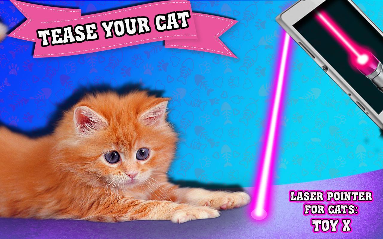 Laser pointer for cats: Toy X