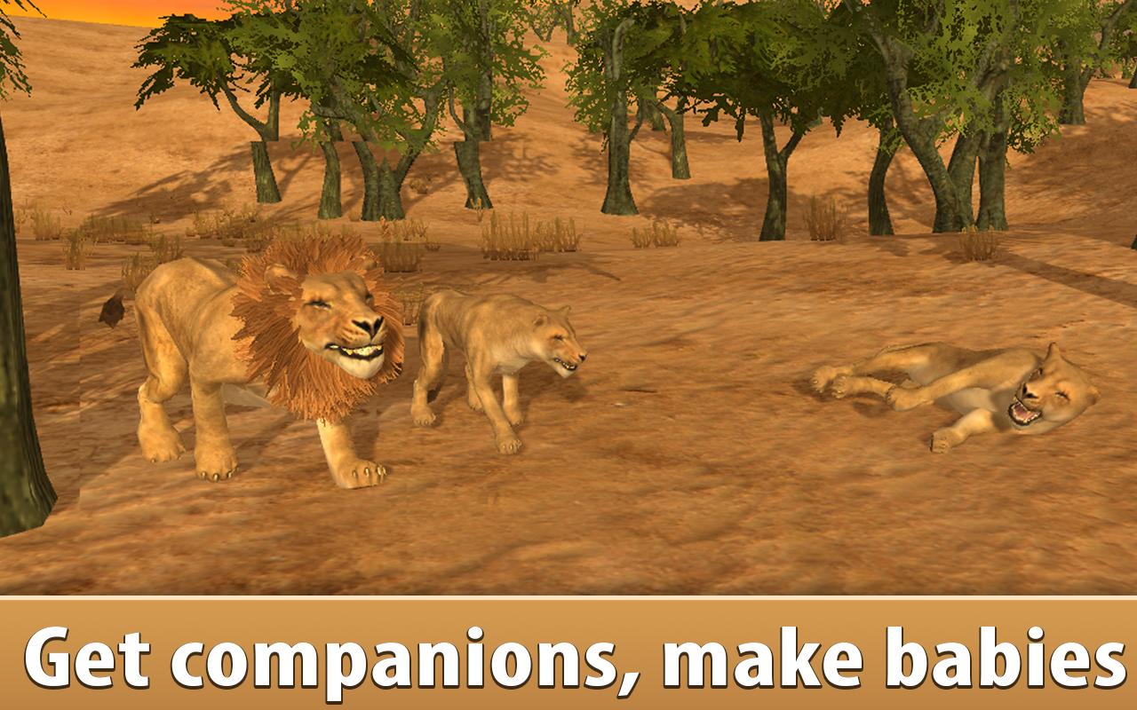 Wild African Lion Simulator 3D
