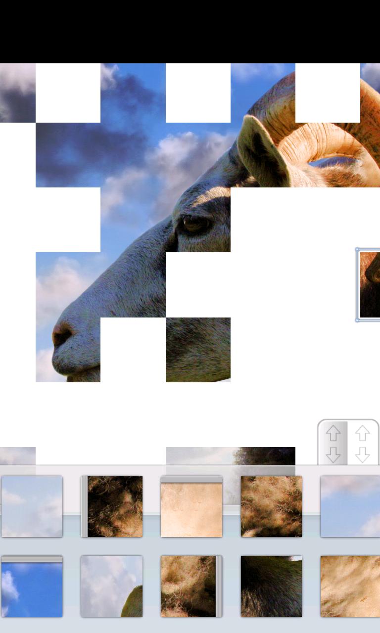 Animated Puzzles