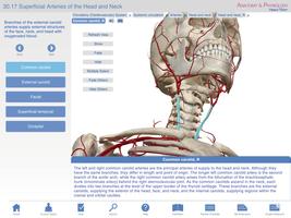 Anatomy & Physiology Springer