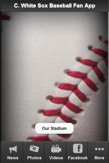 Chicago W.S. Baseball Fan