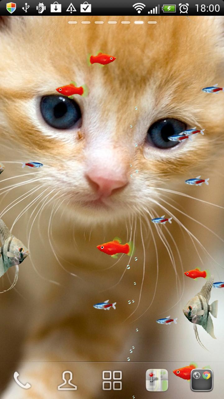 KITTY & FISH LIVE WALLPAPER#11