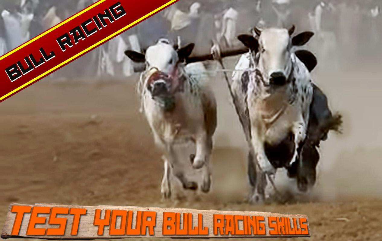 Farming Bull Racing game
