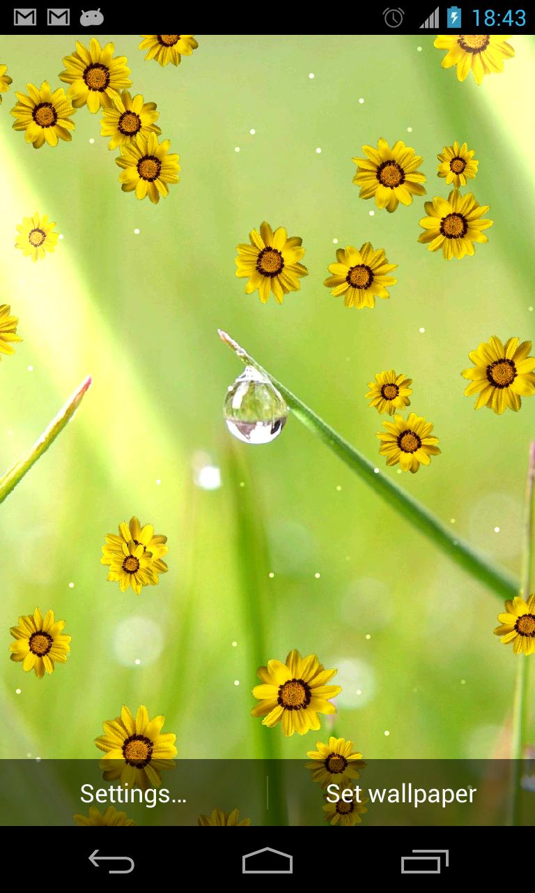 Flower photo Live Wallpaper