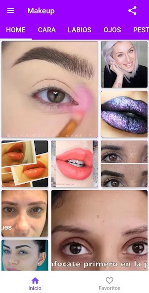 Makeup Step by Step