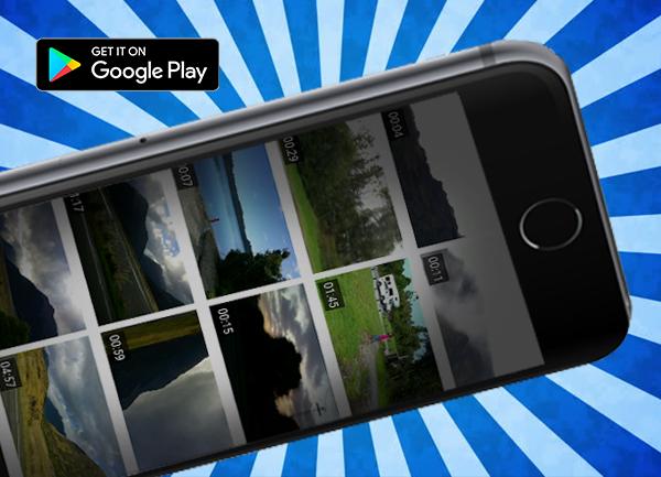 Free Beemov Pro Guide