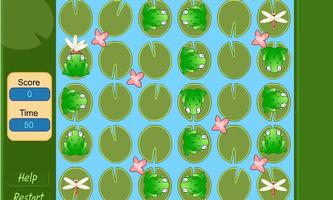 Puzzle Frog Dragon Fly Eater