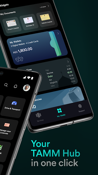 TAMM - Abu Dhabi Government