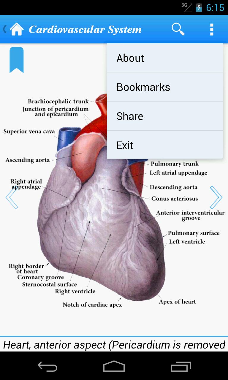 Human Anatomy II Lite
