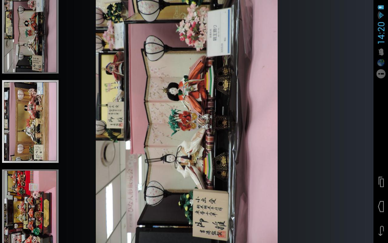 Japan Hinamatsuri(JP078)