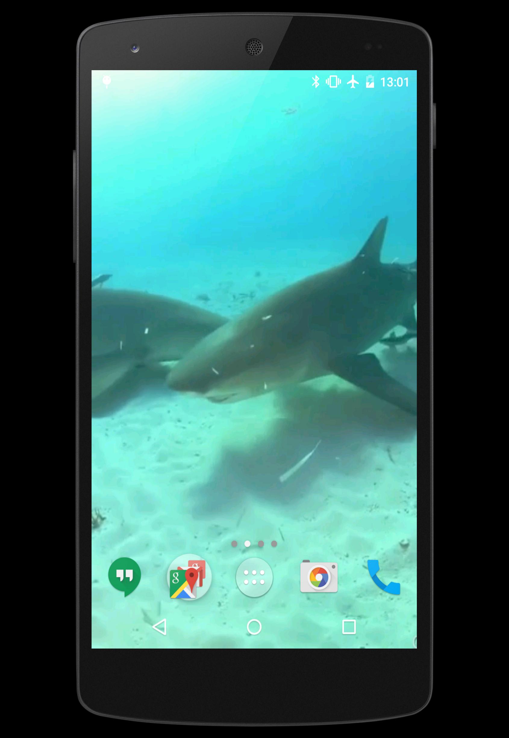 Sharks Video Live Wallpaper