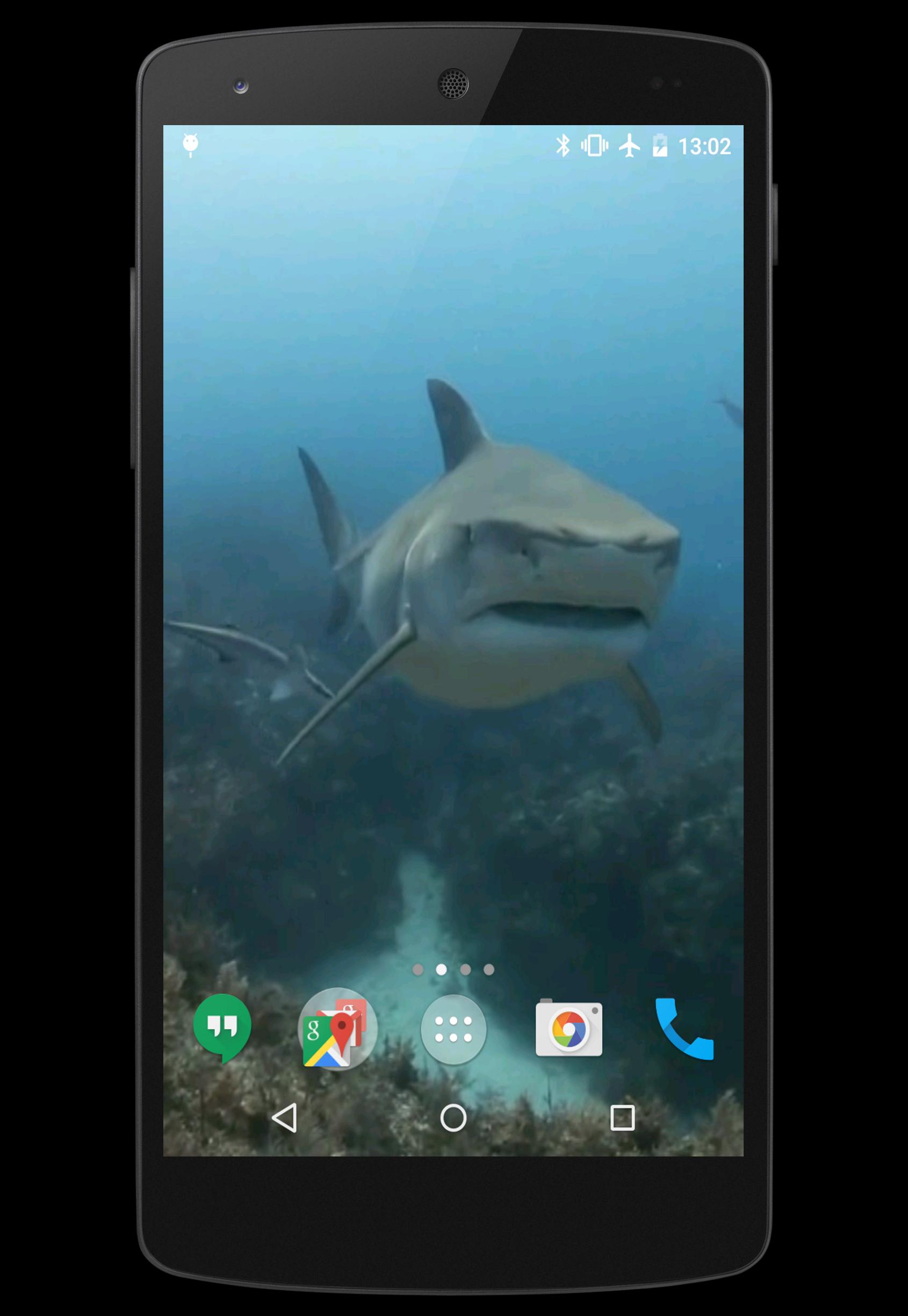 Sharks Video Live Wallpaper