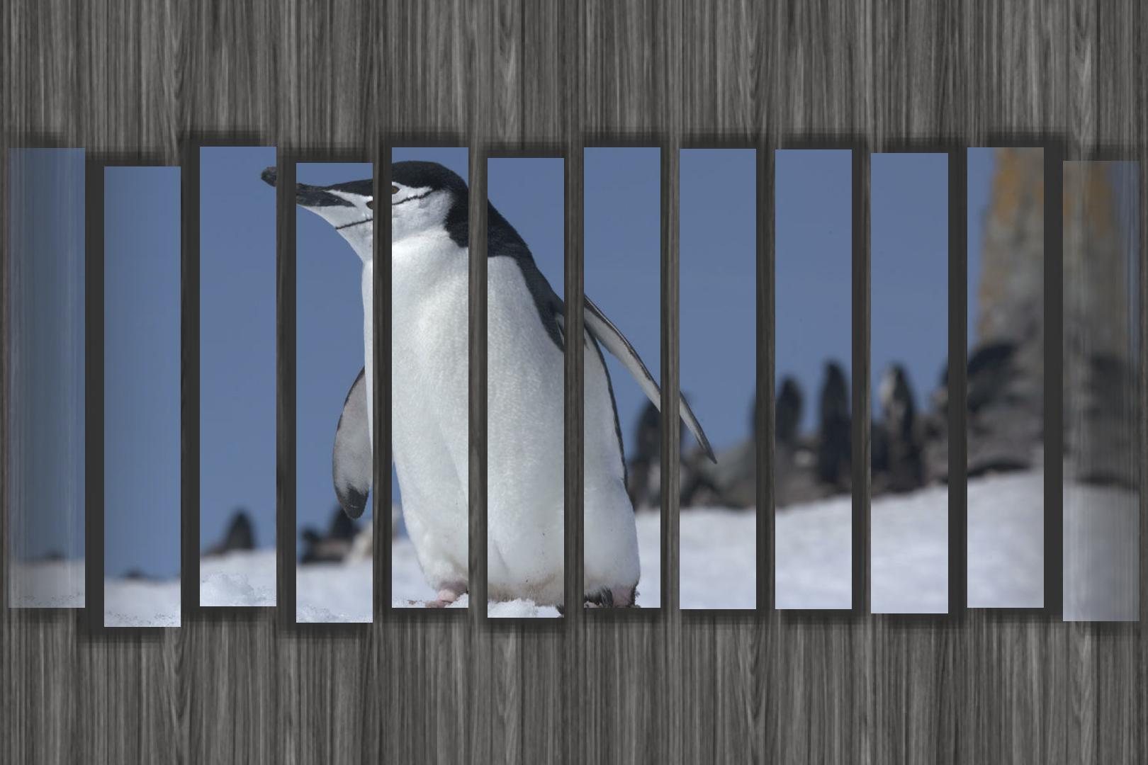 Cloud Digital Photo Frame Free