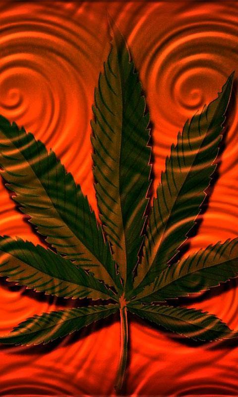 Weed HD Wallpaper