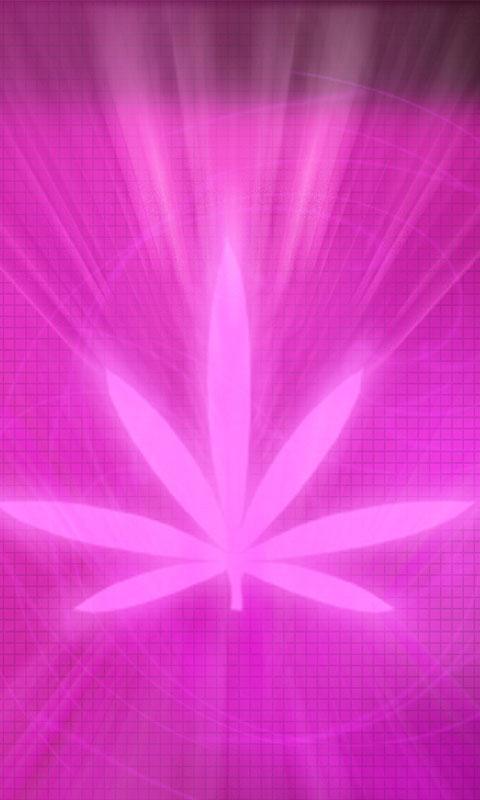 Weed HD Wallpaper