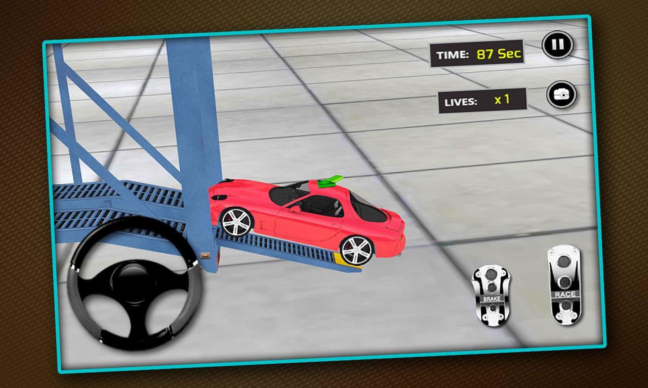 Airplane Car Transporter Pilot