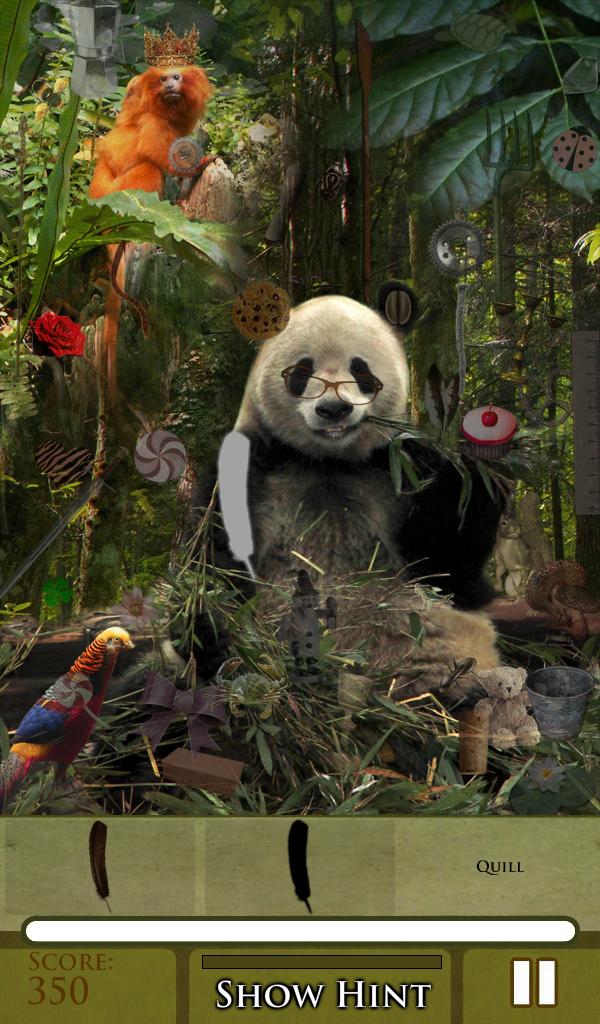 Hidden Object - Into the Wild