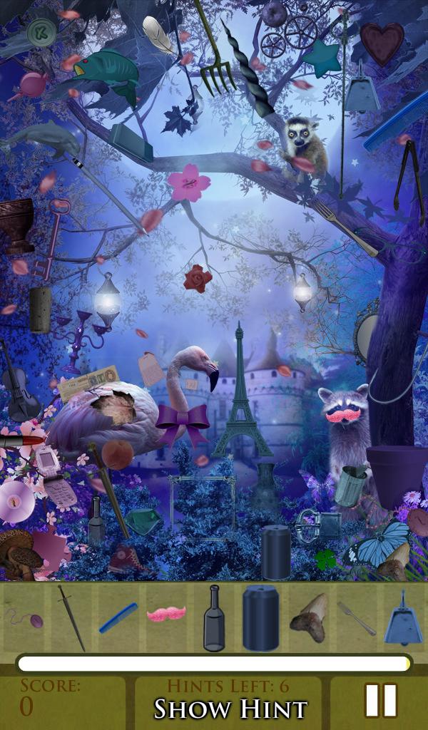 Hidden Object - Into the Wild