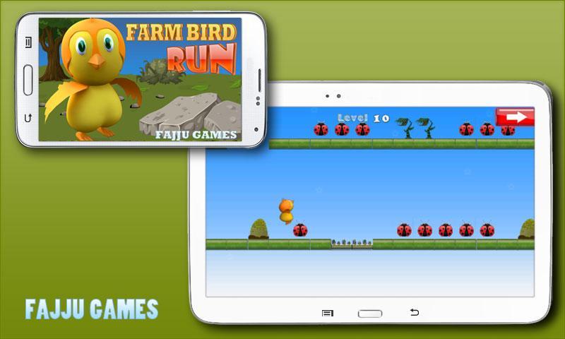 Farm Bird Run