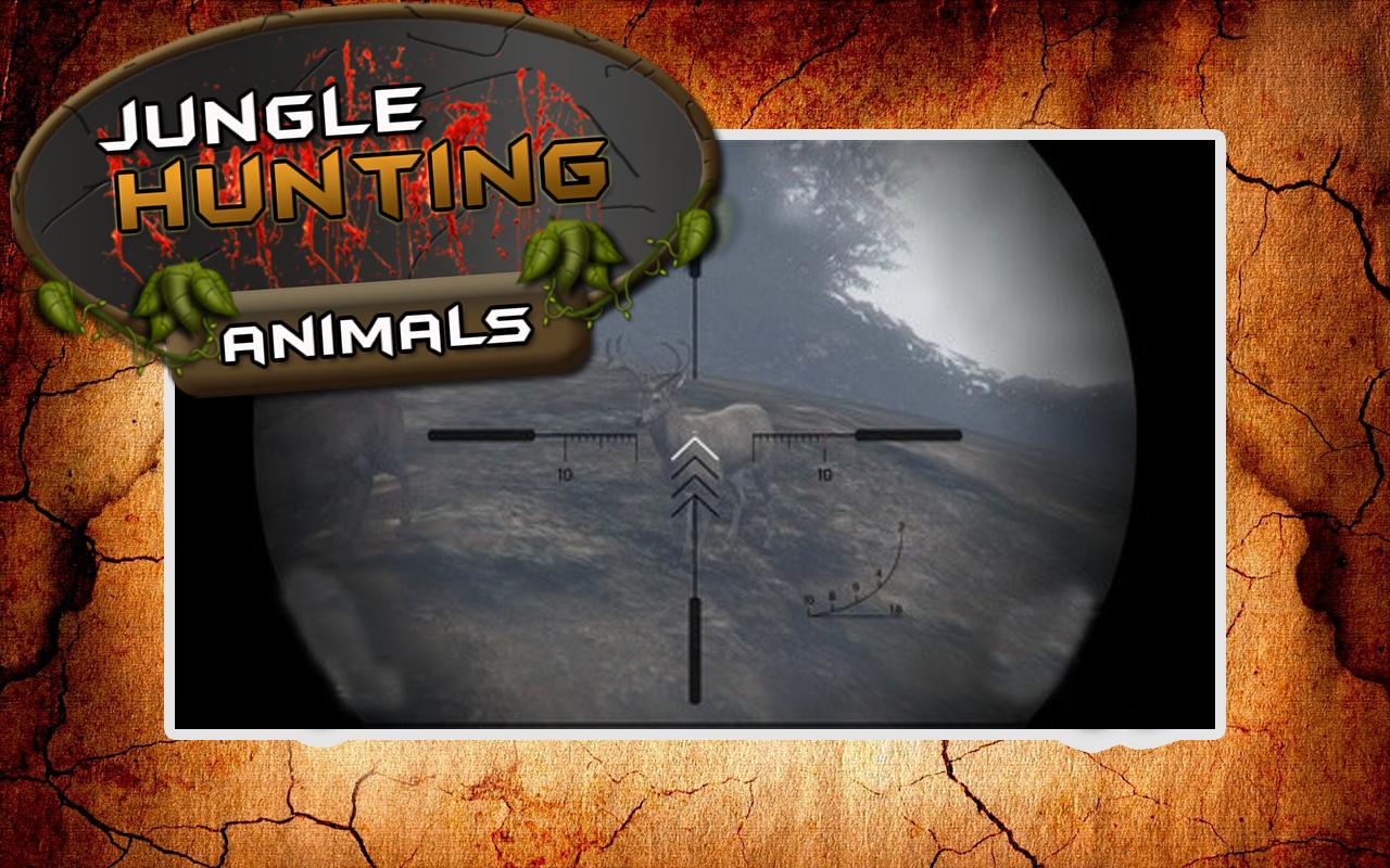 Hunting Jungle Animals