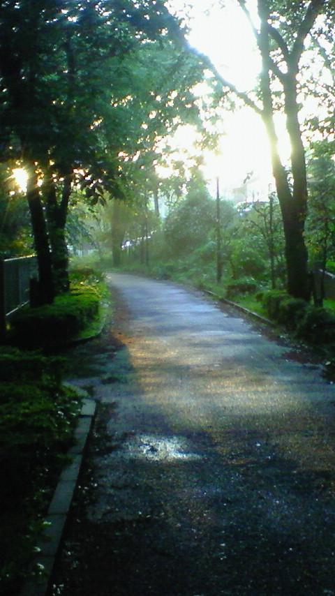 D07m_TestApp_DF_01_Reject