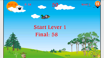 Download game Bird Shooting