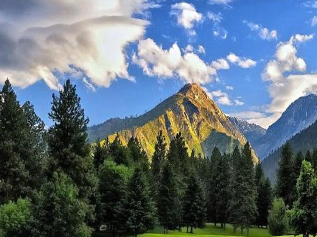 Pirates: Lonely Dream