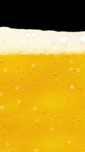 Virtual Beer simulator