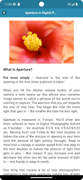 Photography for Beginners