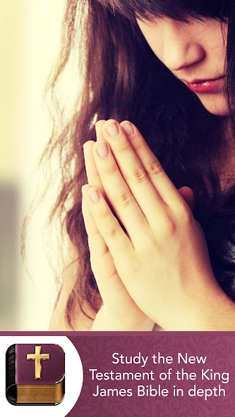 Bible Testament Offline