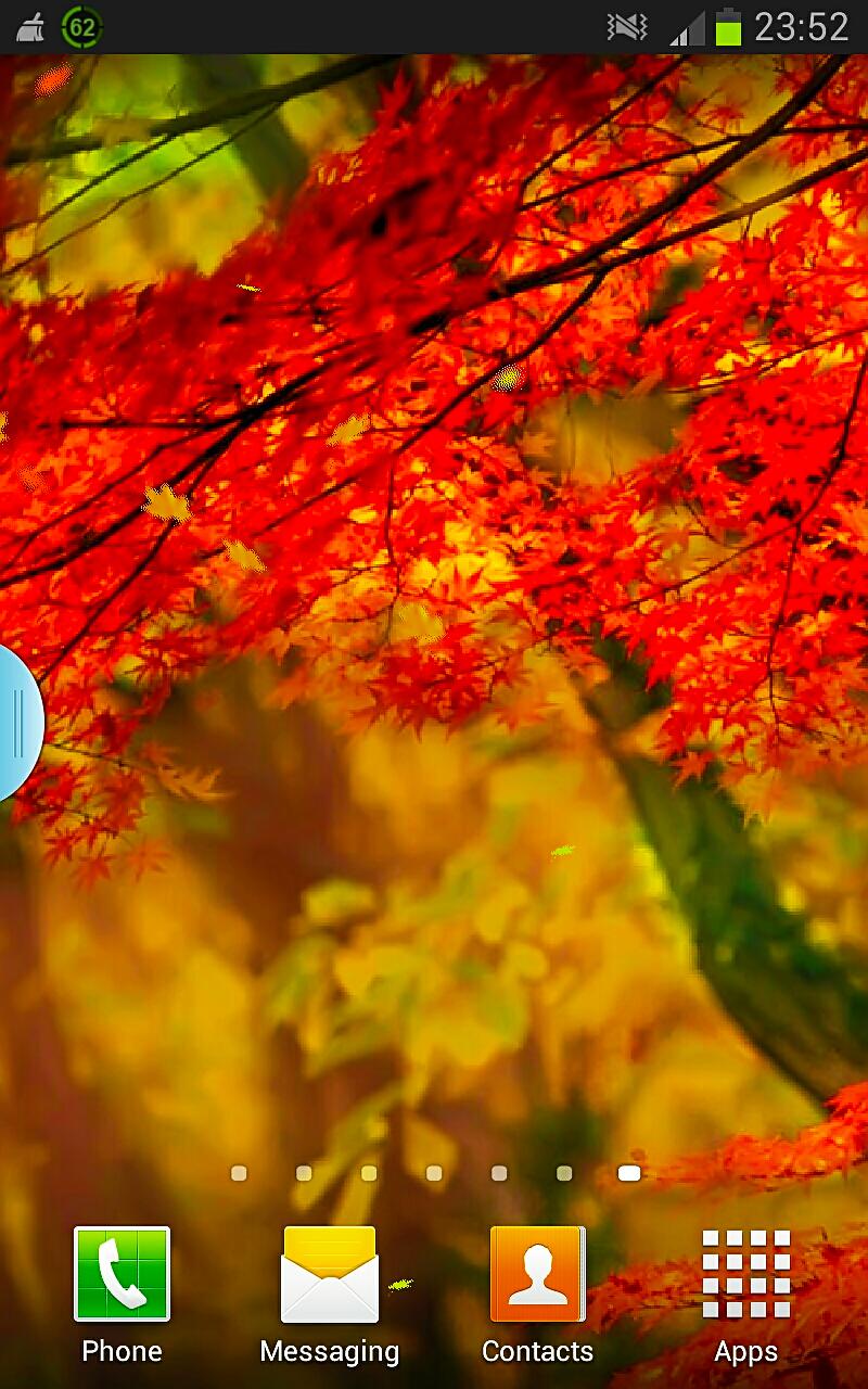 Autumn Forest 3D Wallpapers
