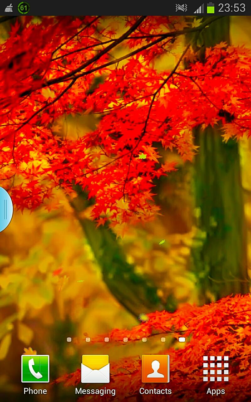 Autumn Forest 3D Wallpapers