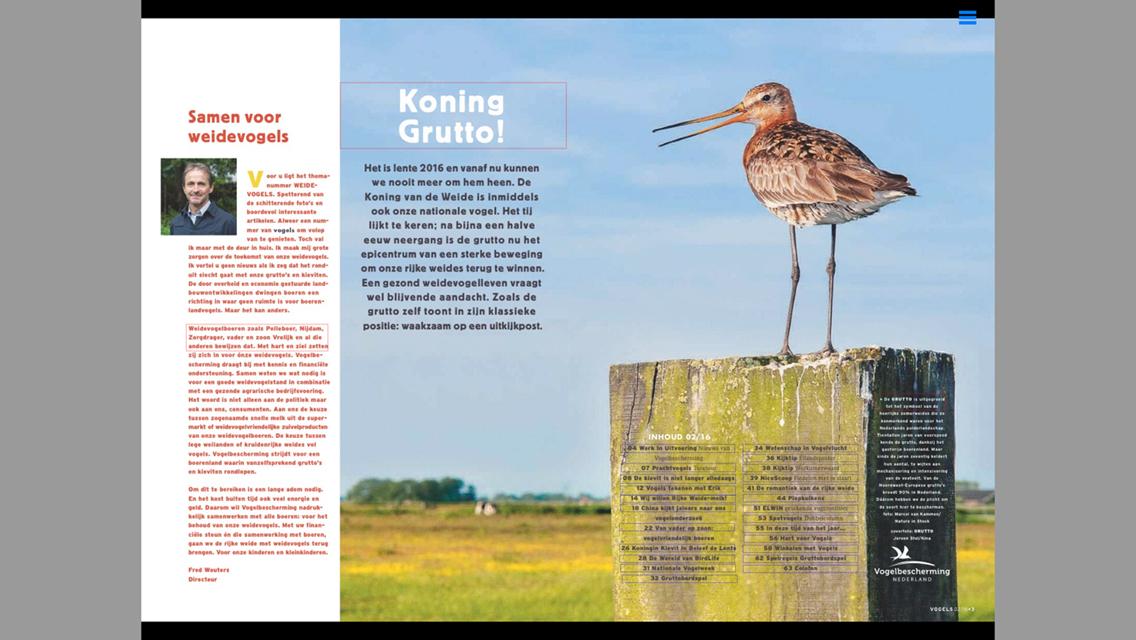 Vogelbescherming