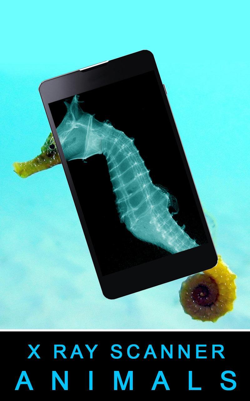 Xray Scanner Animals Prank