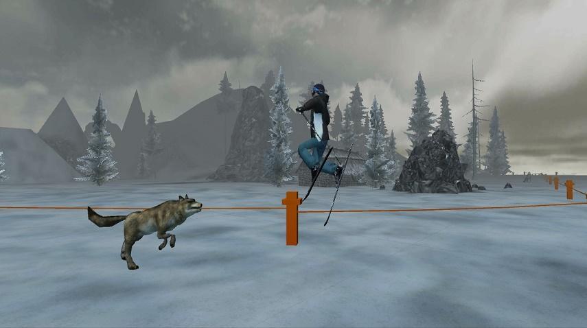 Extreme snow skater