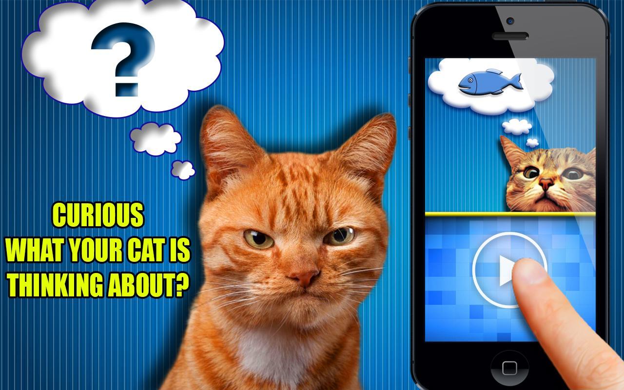 Cat translator - Mind reading
