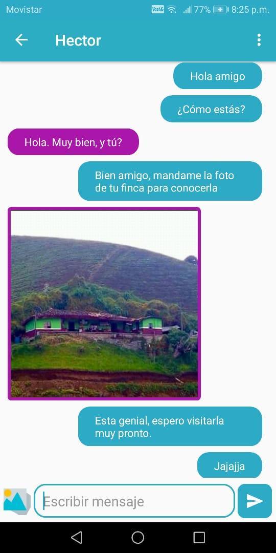 Chat en linea