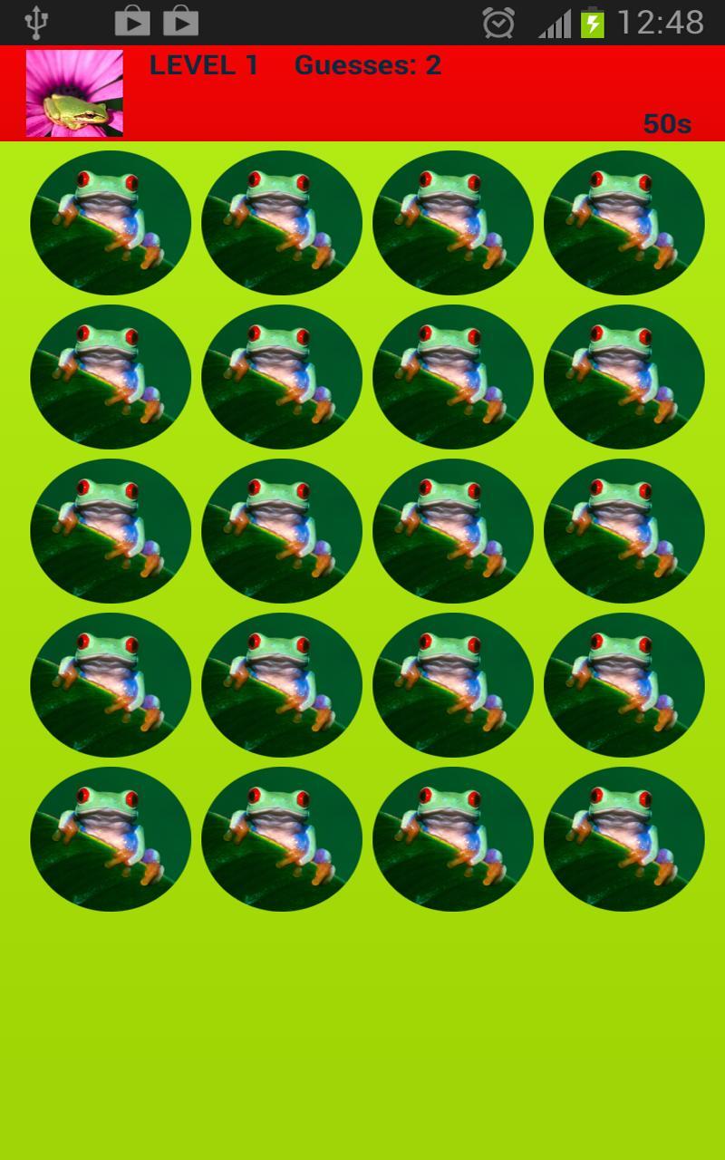 Colorful Frogs Memory Game