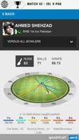 Howzat - World Cricket