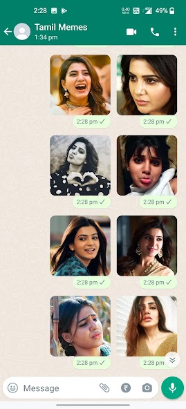 Samantha Stickers