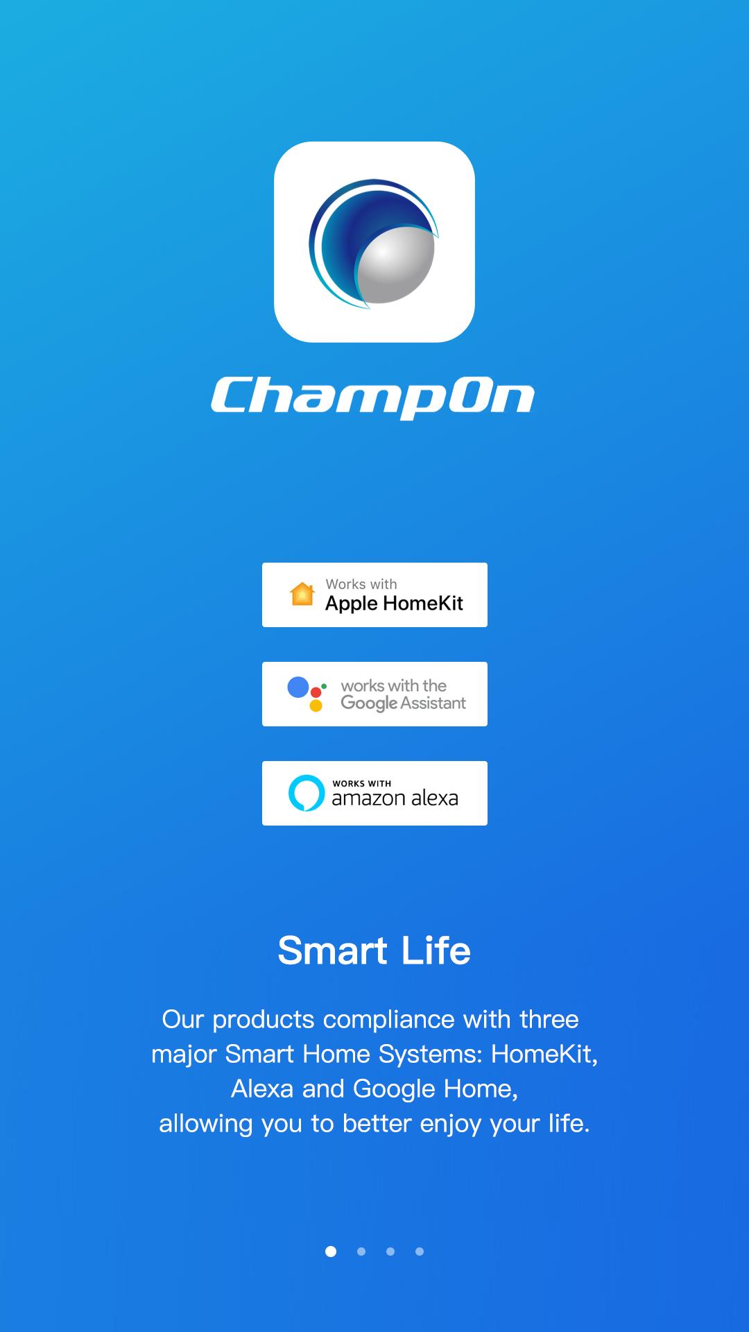 Champon