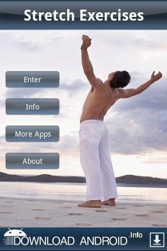 Stretch Exercises
