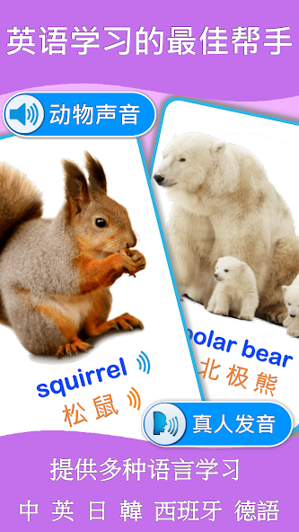 Animals Cards Games