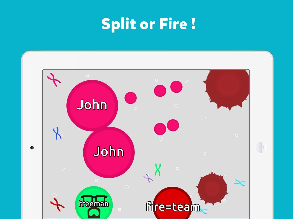 Bacteria Online