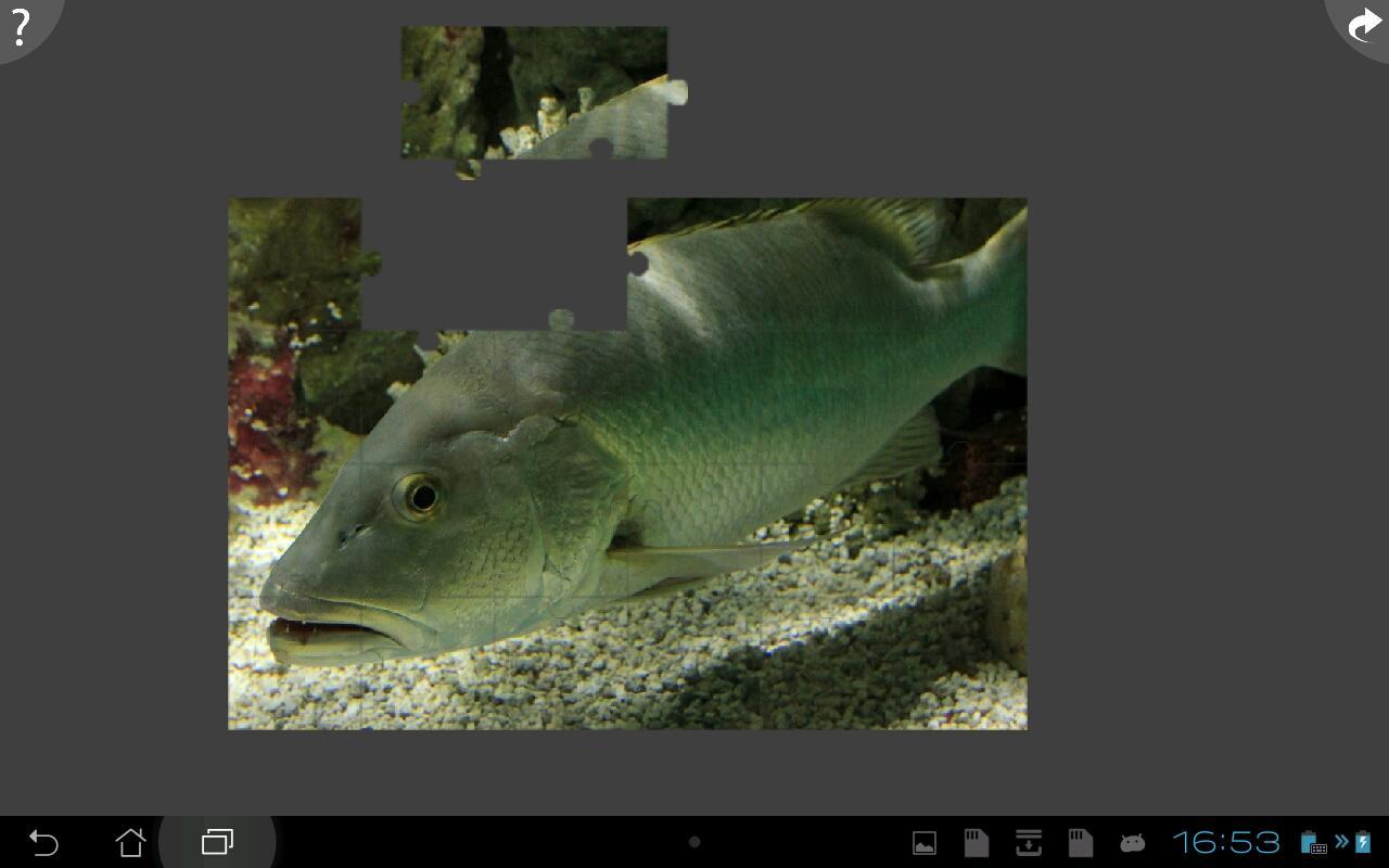 Fishing Jigsaw Puzzle